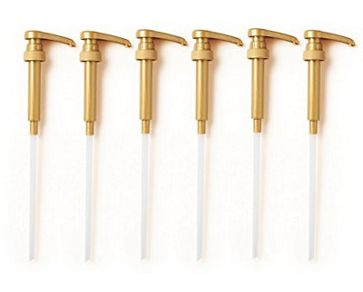 Torani Pumps & Spouts